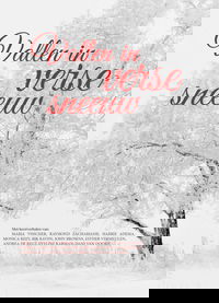 Vallen in verse sneeuw