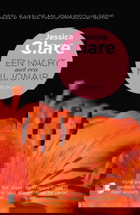 Een nacht met een miljonair