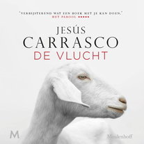 De vlucht
