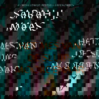 Het mes van de sluipmoordenaar