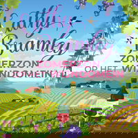 Zomerzon op het wijndomein