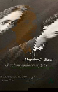 Een binnenplaats met gras