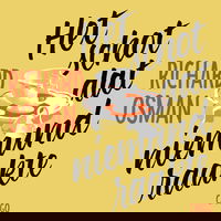 Het schot dat niemand raakte