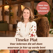 Alles over de Reset & Shine Transformatieweek
