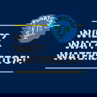 Dit is Wie? Wat? Waterstof!