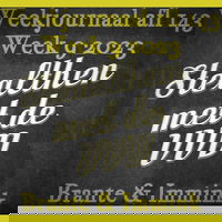 Stealthen Met De VVD