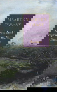 Een vlucht regenwulpen