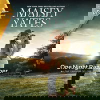 One Night Rancher