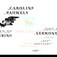 Ode aan de verwondering