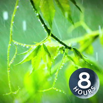 Regenstorm | Natuurgeluiden voor ontspanning en slaap (8 uur)