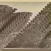 Aflevering 55: Herwildering