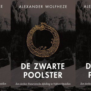Boekbespreking De Zwarte Poolster