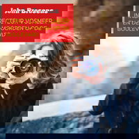 Inspecteur Vosmeer en de moorden op de boulevard