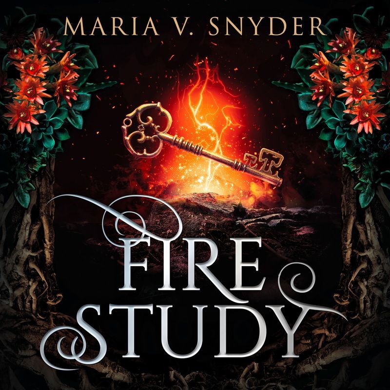 The Fire Study