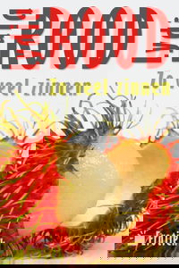 Zoveel zinnen van Lydia Rood