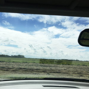 Waarvoor heb je straks nog een dokter nodig? met arts en kunstenaar Obbe Tiddens