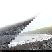 Aflevering 57: Flora van Macaronesië