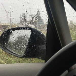 De laatste roep van de O'o. Met conservator natuurlijke historie Hans Mulder