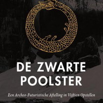 Vraaggesprek Zwarte Poolster