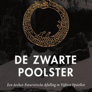 Vraaggesprek Zwarte Poolster