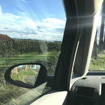 De landman en de stedeling, Met fruitbomenspecialist George Spruit