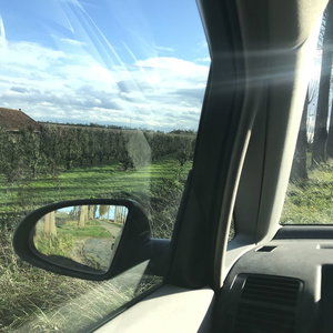 De landman en de stedeling, Met fruitbomenspecialist George Spruit