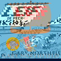 De saga van de vallende ster