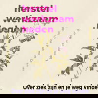 Herstelwerkzaamheden