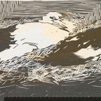 Aflevering 63: Ooievaar