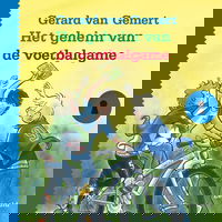 Het geheim van de voetbalgame