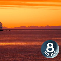 Vredige oceaangeluiden voor het slapen, studeren, meditatie | Witte ruis (8 uur)