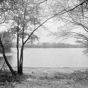 Aflevering 67: Walden