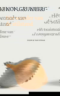 Het wonder van de stilstand