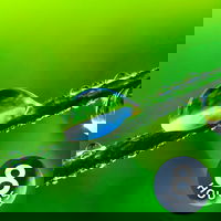 Regengeluid voor slapen | Witte ruis van regenstorm (8 uur)