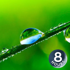 Regengeluid voor slapen | Witte ruis van regenstorm (8 uur)