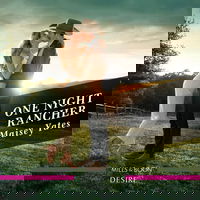 The One Night Rancher