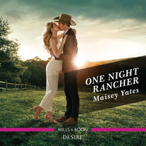 The One Night Rancher
