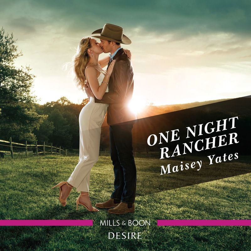 The One Night Rancher