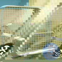 Witte ruis met slaapgeluiden van boxventilator | Val in slaap en slaap de hele nacht door (8 uur)