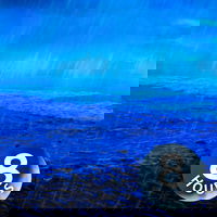Regen- en oceaangeluiden | Slapen, studeren, concentreren, ontspannen (8 uur)