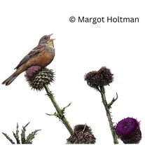 Aflevering 69: Aard van het beestje