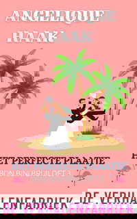 Het perfecte plaatje