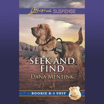 Seek And Find