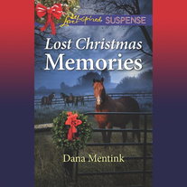 Lost Christmas Memories