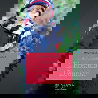 A Stonecreek Christmas Reunion