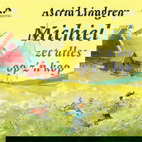 Michiel zet alles op z'n kop