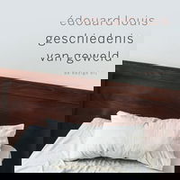 Geschiedenis van geweld