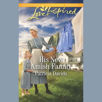 The His New Amish Family