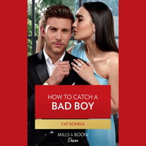 How To Catch A Bad Boy