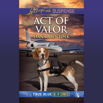 Act Of Valor